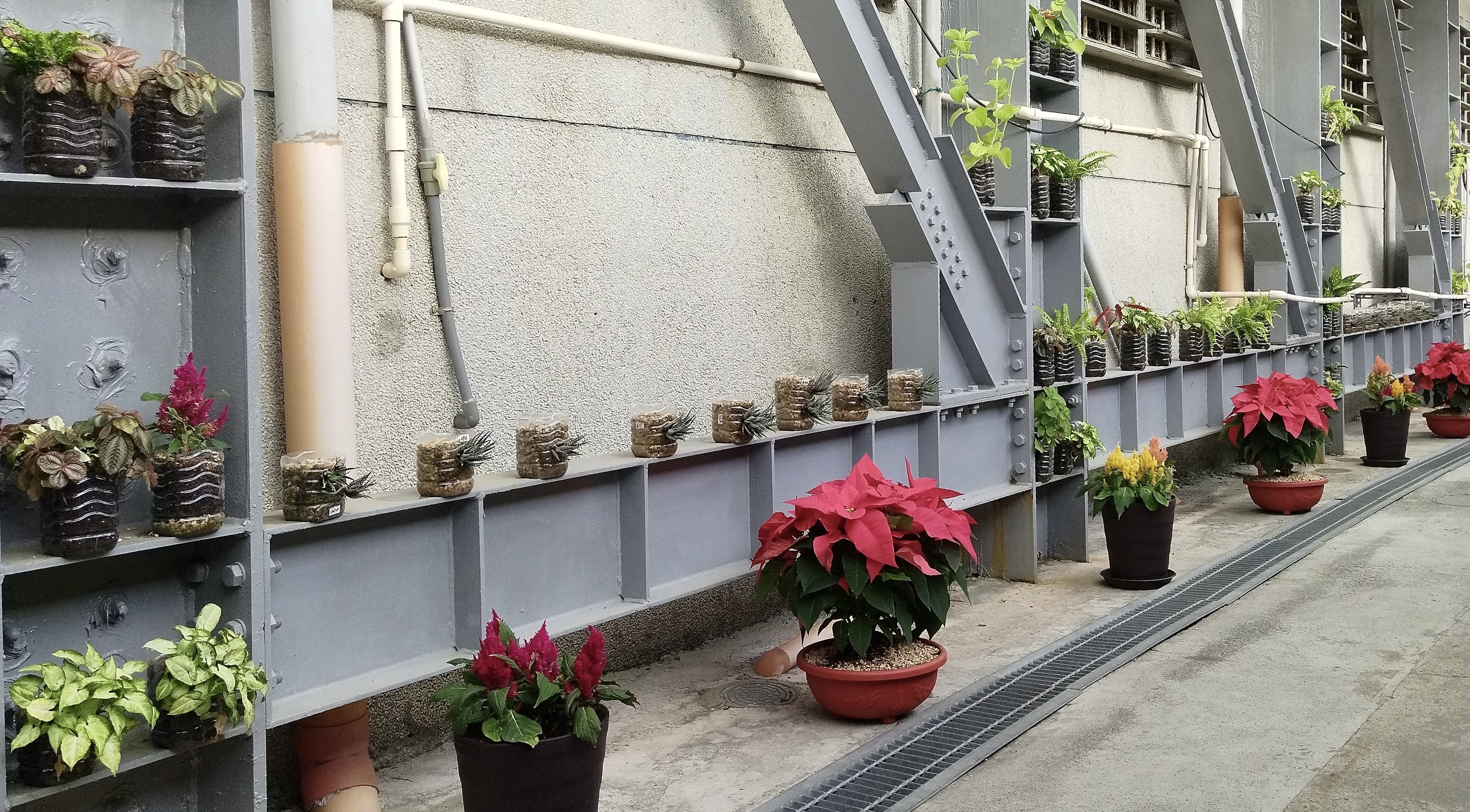 9953DC4B-E396-4D6E-9B42-8C099285A008