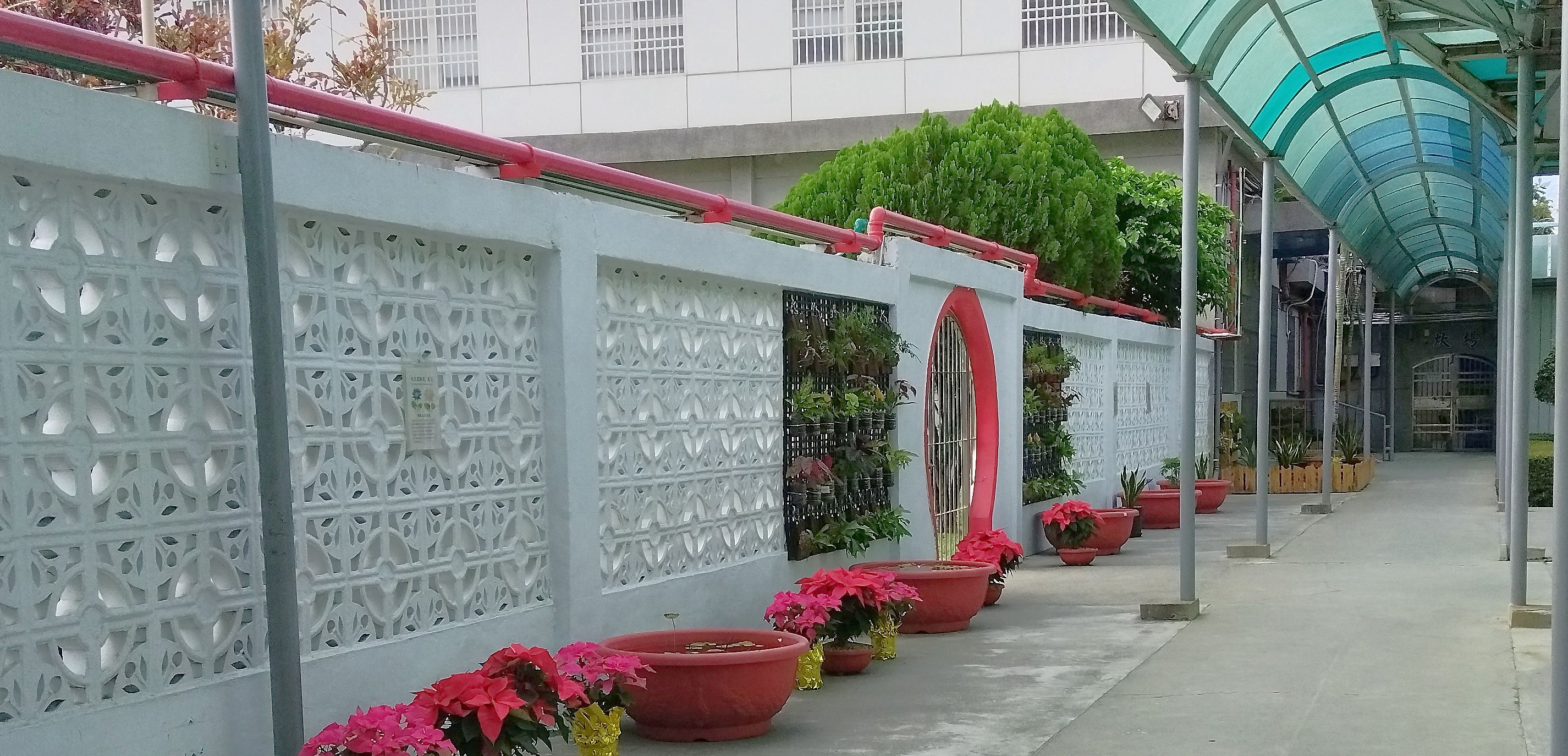 IMG_20251213_091210_3