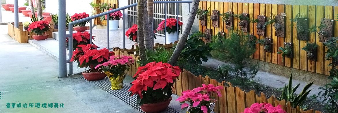 環境綠美化